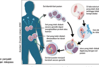 Peran Genetik Dalam Perkembangan Penyakit