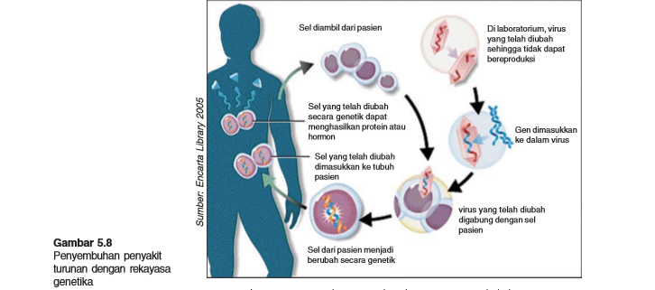 Peran Genetik Dalam Perkembangan Penyakit