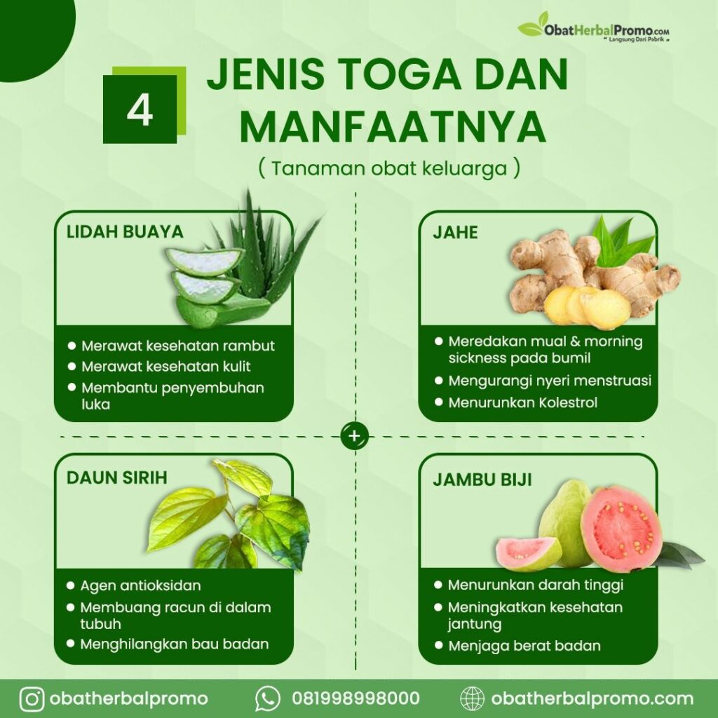 Manfaat Penggunaan Obat Herbal