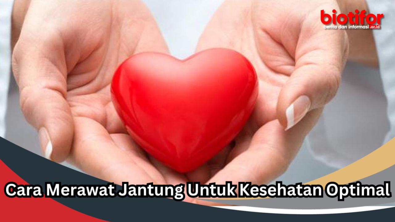 Cara Menjaga Kesehatan Jantung Yang Baik