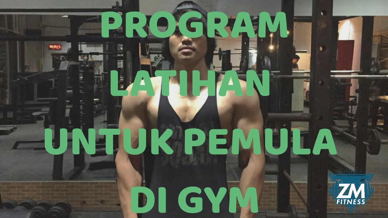 Program Latihan yang Efektif Membangun otot di Gym untuk Pemula! - YouTube