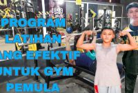 Program Latihan Untuk Membentuk Otot Tubuh