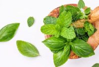 Kombinasi Makanan Yang Dapat Meningkatkan Energi Dan Stamina Sehari-Hari