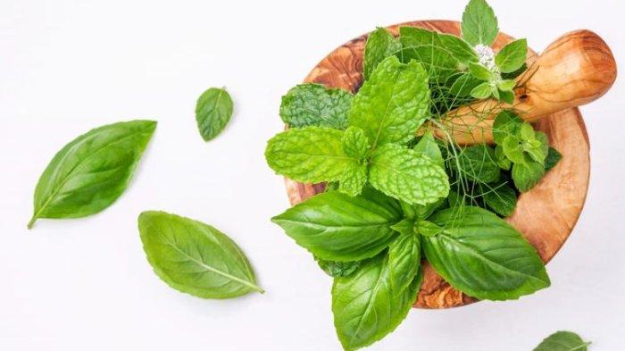 Kombinasi Makanan Yang Dapat Meningkatkan Energi Dan Stamina Sehari-Hari