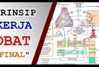 Bagaimana Cara Kerja Obat Dalam Tubuh Manusia